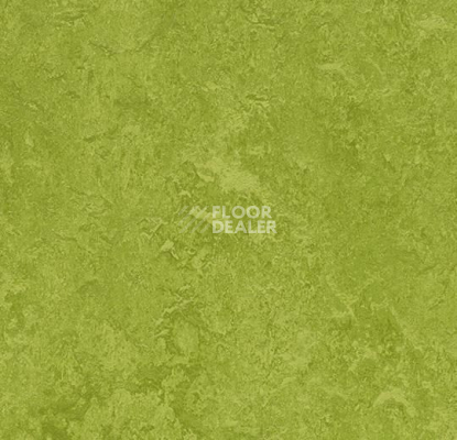 Линолеум Forbo Marmoleum Marbled Fresco 3247-324735 green фото 1 | FLOORDEALER